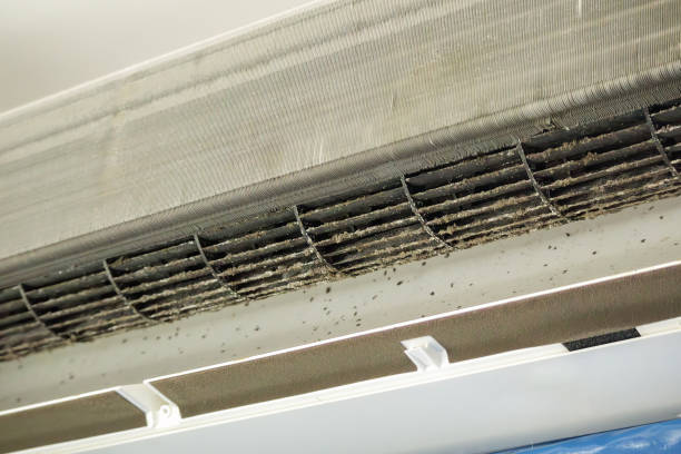 Best HVAC Duct Inspection Services  in Richwood, WV